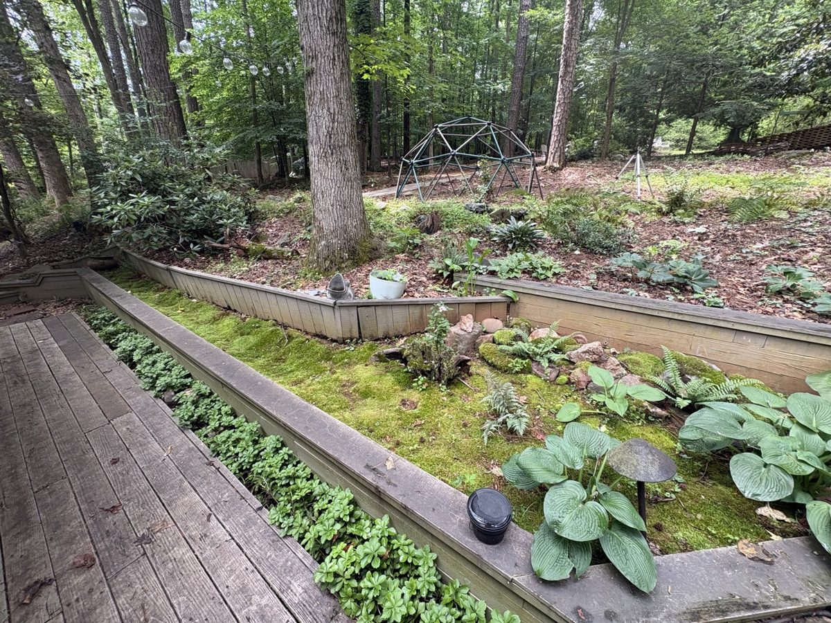 Terraced back beds — today