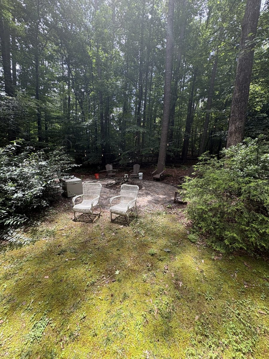 Fire-pit retreat — today
