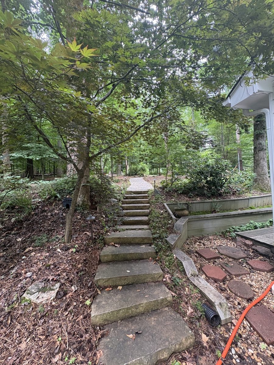 Side stair path — today