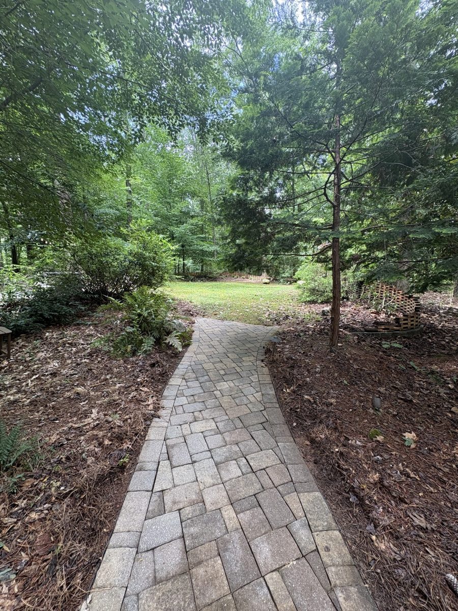 Stroll path — today
